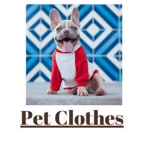 Pet clothes