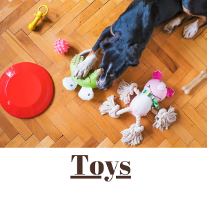 dog toys