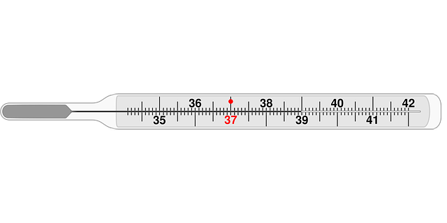 A dogs body temperature