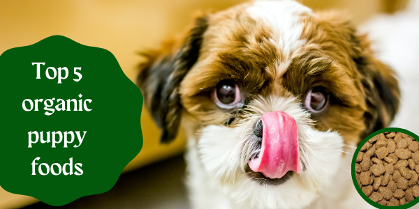 Top 5 organic puppy foods