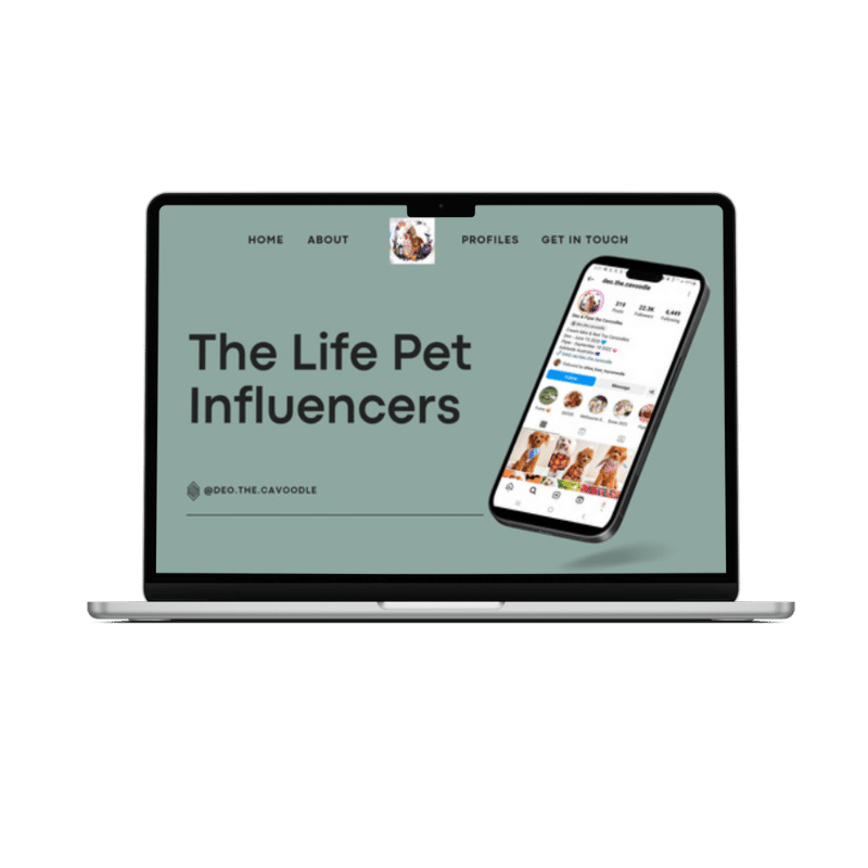 Life of pet influencers (2)